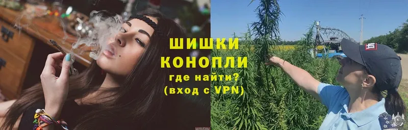 Бошки Шишки OG Kush  OMG ссылки  Вихоревка 